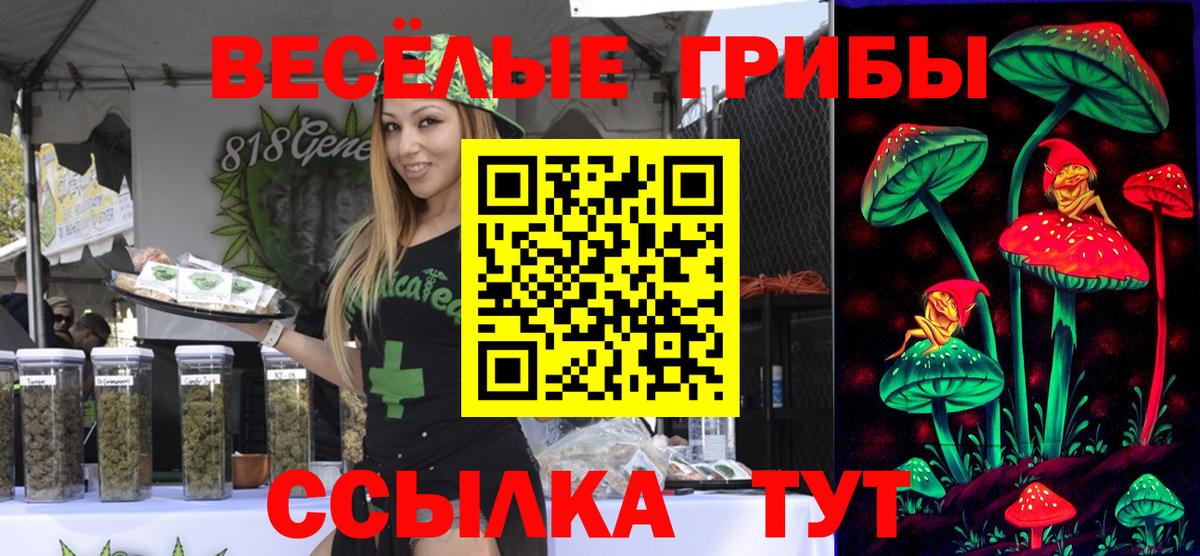 Псилоцибиновые грибы GOLDEN TEACHER Котлас