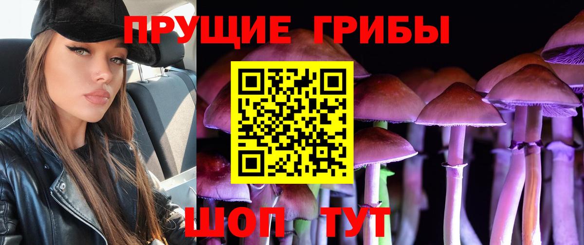 Псилоцибиновые грибы GOLDEN TEACHER  Вход с VPN  Котлас  Галлюциногенные грибы Psilocybe 